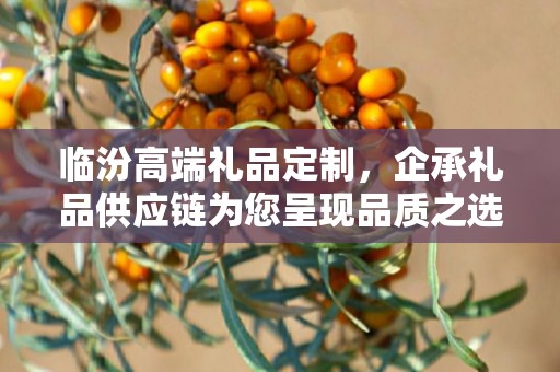 临汾高端礼品定制，企承礼品供应链为您呈现品质之选